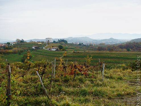Az egykori hadszíntér ma gazdag szőlőtermő vidék