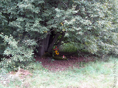A jelképes síremlék egy hársfa lombjainak árnyékában az eltűnt temető közelében