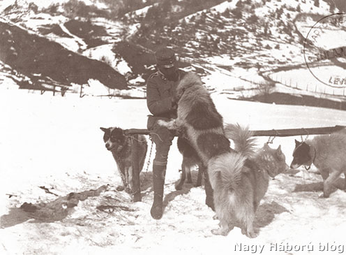 Kutyák az osztrák-magyar hadseregben az orosz fronton
