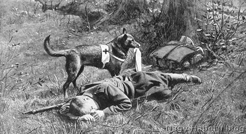 Vöröskeresztes kutya megtalál egy sebesült katonát