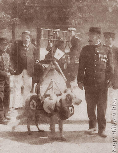 Svájci vöröskeresztes katona és kutyája